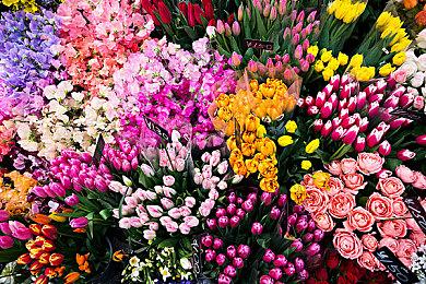 3D动作冒险游戏《海浪传说》上架Steam